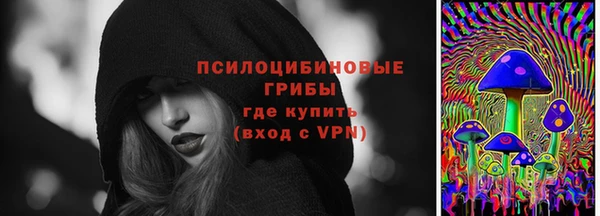дурь Костерёво