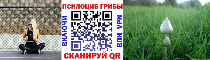Галлюциногенные грибы мицелий  Купить  Карпинск 